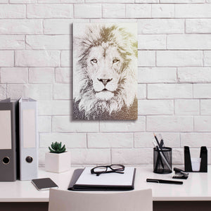 'Lion' by Paula Belle Flores, Giclee Canvas Wall Art,12 x 18