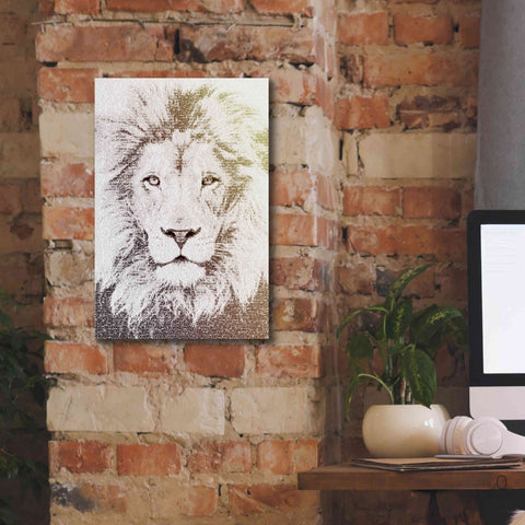 Image of 'Lion' by Paula Belle Flores, Giclee Canvas Wall Art,12 x 18