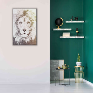 'Lion' by Paula Belle Flores, Giclee Canvas Wall Art,26 x 40