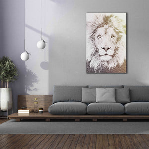 'Lion' by Paula Belle Flores, Giclee Canvas Wall Art,40 x 60