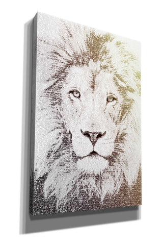 Image of 'Lion' by Paula Belle Flores, Giclee Canvas Wall Art