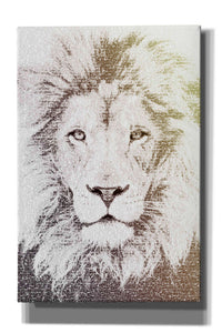 'Lion' by Paula Belle Flores, Giclee Canvas Wall Art