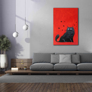 'Stray Black Cat' by Robert Filiuta, Giclee Canvas Wall Art,40 x 60