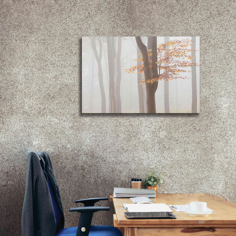 Image of 'Arnhem Park Zypendaal' by Wilco Dragt, Giclee Canvas Wall Art,40 x 26