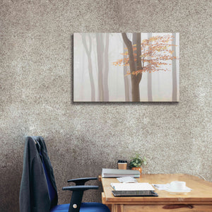 'Arnhem Park Zypendaal' by Wilco Dragt, Giclee Canvas Wall Art,40 x 26