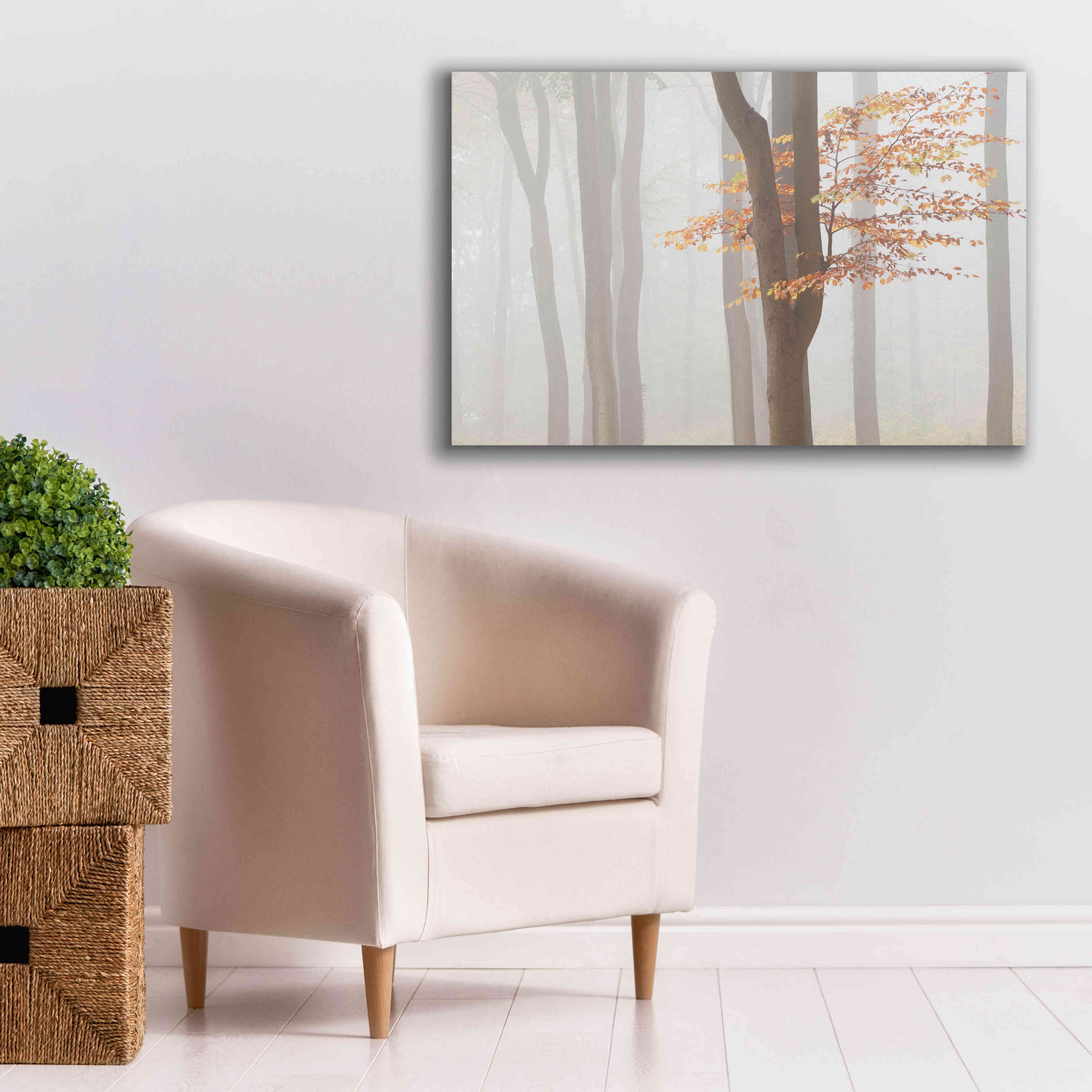 'Arnhem Park Zypendaal' by Wilco Dragt, Giclee Canvas Wall Art,40 x 26