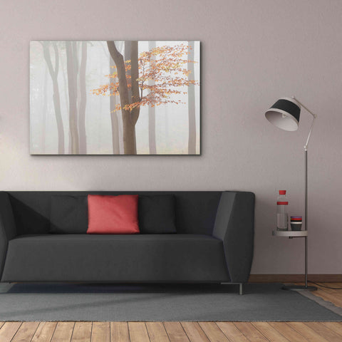 Image of 'Arnhem Park Zypendaal' by Wilco Dragt, Giclee Canvas Wall Art,60 x 40