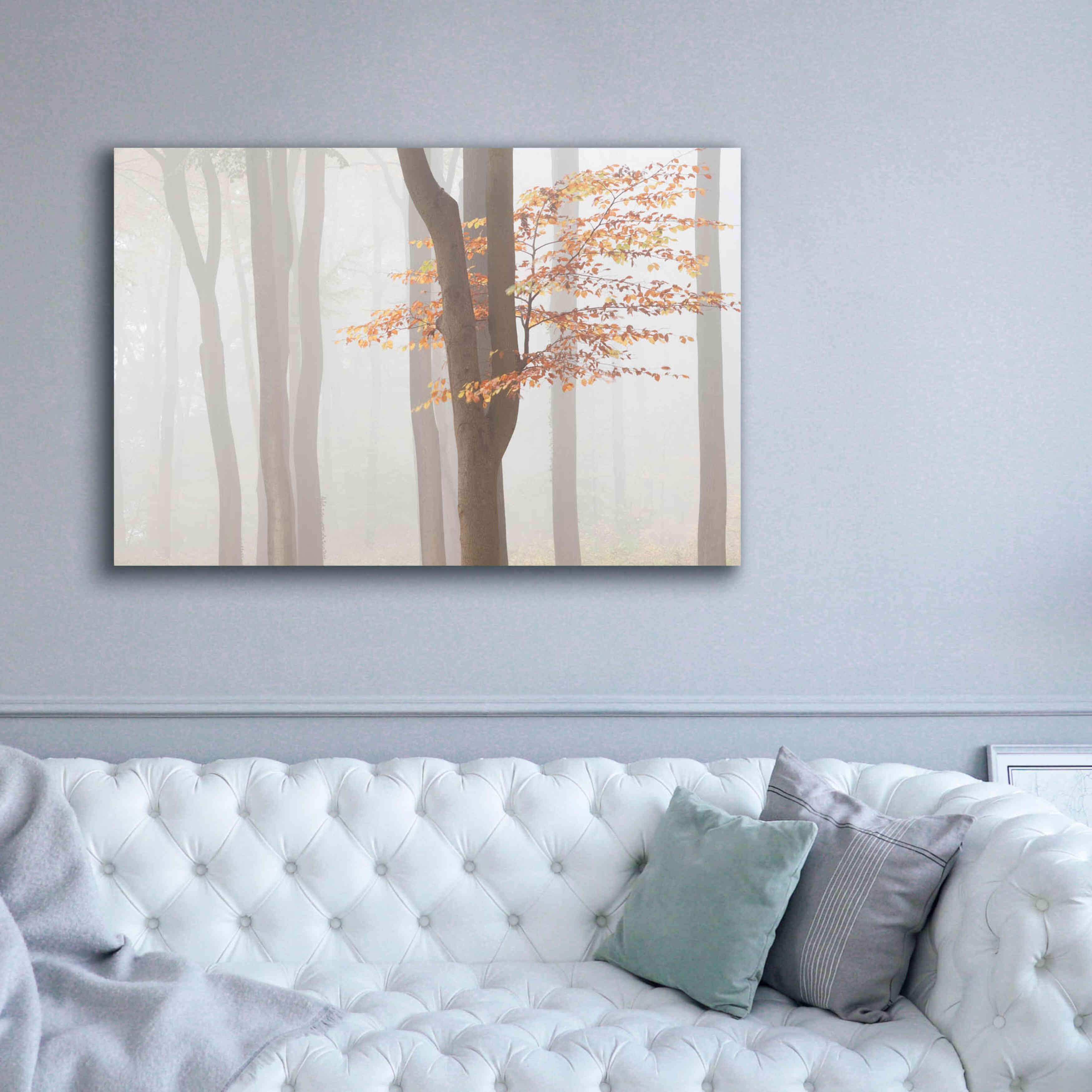 'Arnhem Park Zypendaal' by Wilco Dragt, Giclee Canvas Wall Art,60 x 40