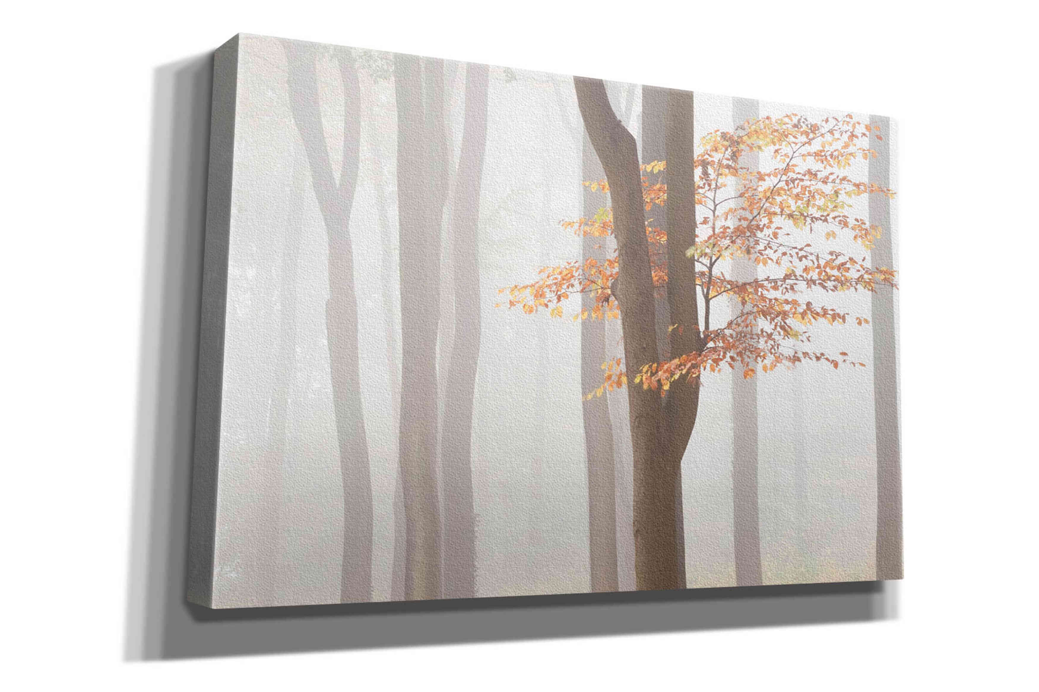 'Arnhem Park Zypendaal' by Wilco Dragt, Giclee Canvas Wall Art