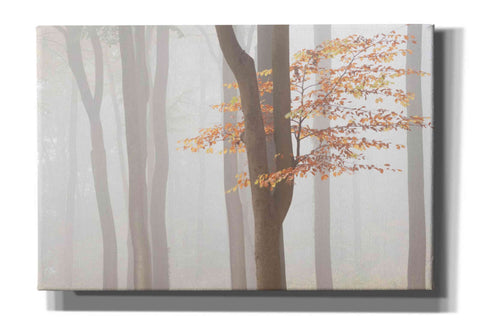 Image of 'Arnhem Park Zypendaal' by Wilco Dragt, Giclee Canvas Wall Art