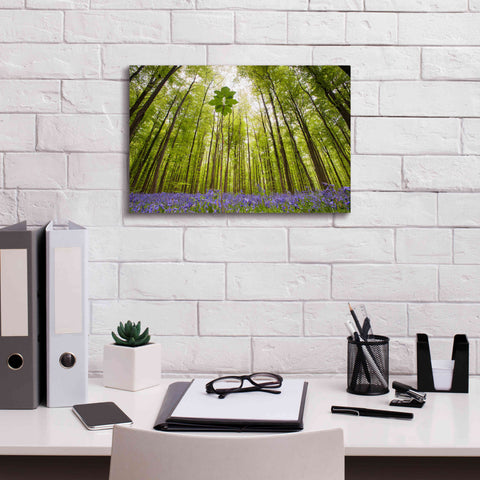 Image of 'Hallerbos' by Wilco Dragt, Giclee Canvas Wall Art,18 x 12