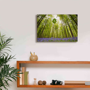 'Hallerbos' by Wilco Dragt, Giclee Canvas Wall Art,18 x 12