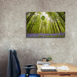 'Hallerbos' by Wilco Dragt, Giclee Canvas Wall Art,40 x 26