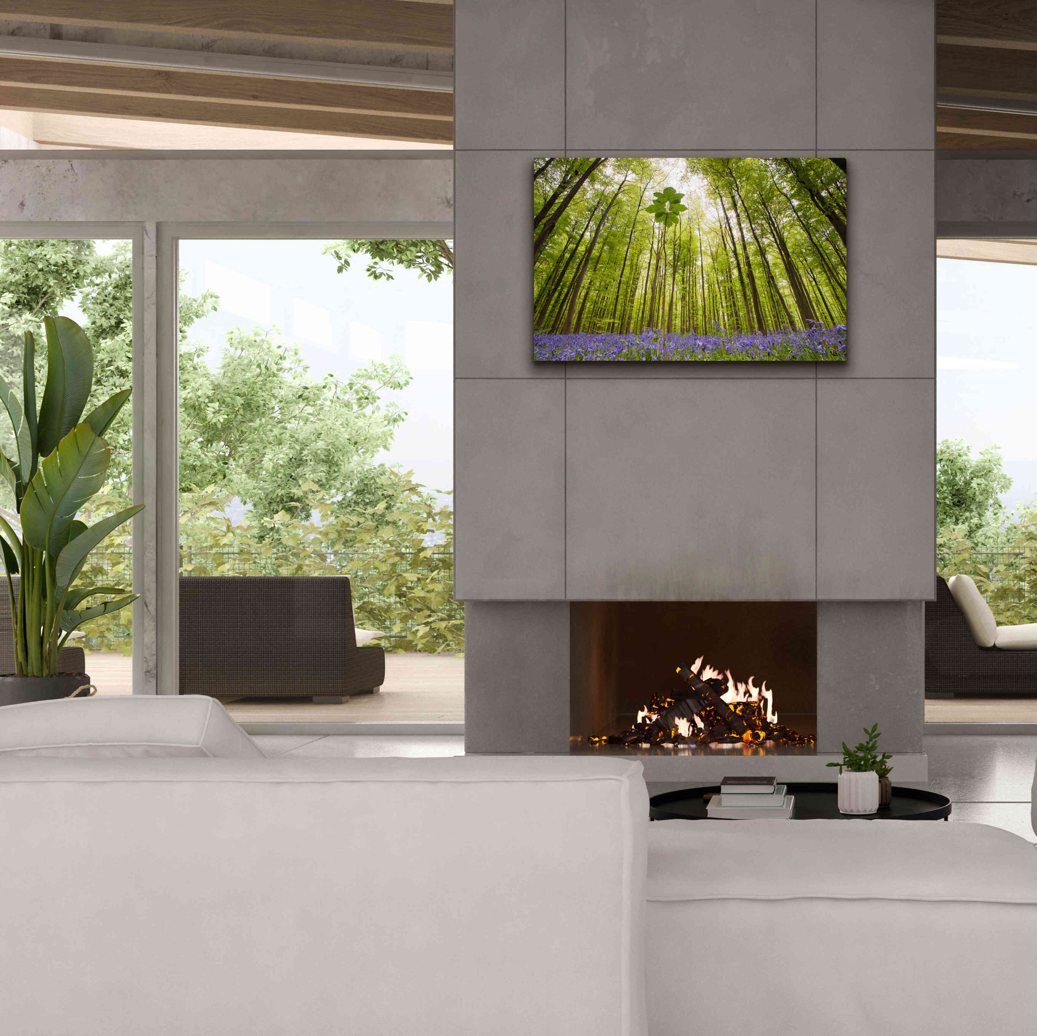 'Hallerbos' by Wilco Dragt, Giclee Canvas Wall Art,40 x 26