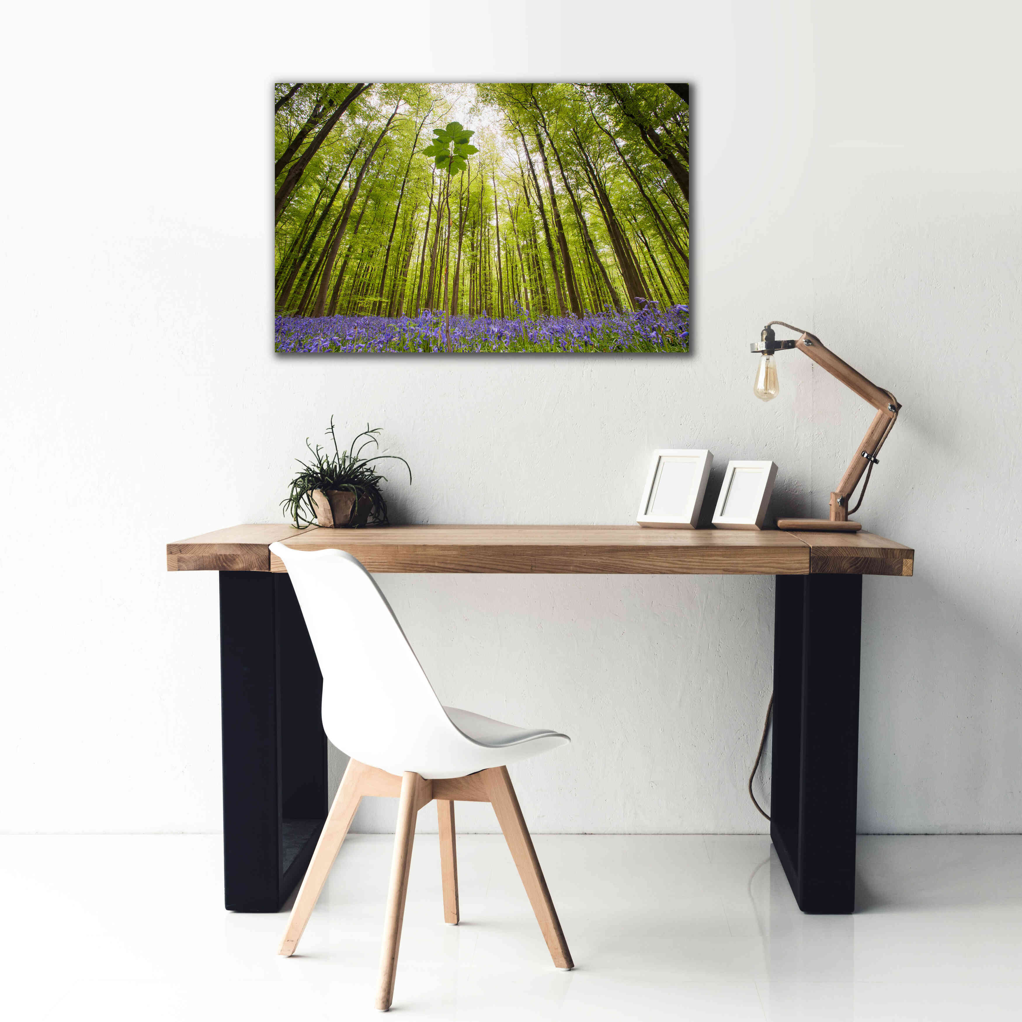 'Hallerbos' by Wilco Dragt, Giclee Canvas Wall Art,40 x 26