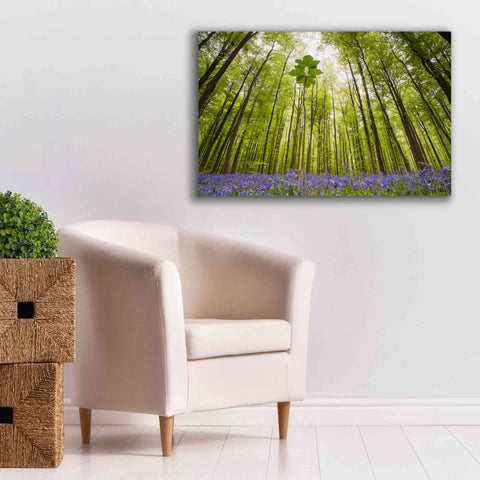 Image of 'Hallerbos' by Wilco Dragt, Giclee Canvas Wall Art,40 x 26