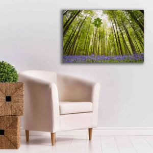 'Hallerbos' by Wilco Dragt, Giclee Canvas Wall Art,40 x 26