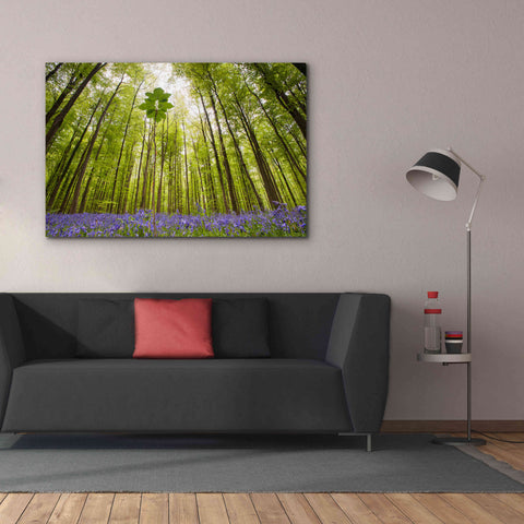 Image of 'Hallerbos' by Wilco Dragt, Giclee Canvas Wall Art,60 x 40