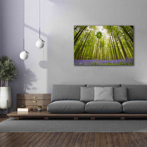 'Hallerbos' by Wilco Dragt, Giclee Canvas Wall Art,60 x 40