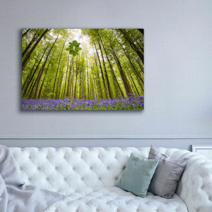 'Hallerbos' by Wilco Dragt, Giclee Canvas Wall Art,60 x 40