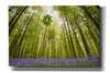 'Hallerbos' by Wilco Dragt, Giclee Canvas Wall Art