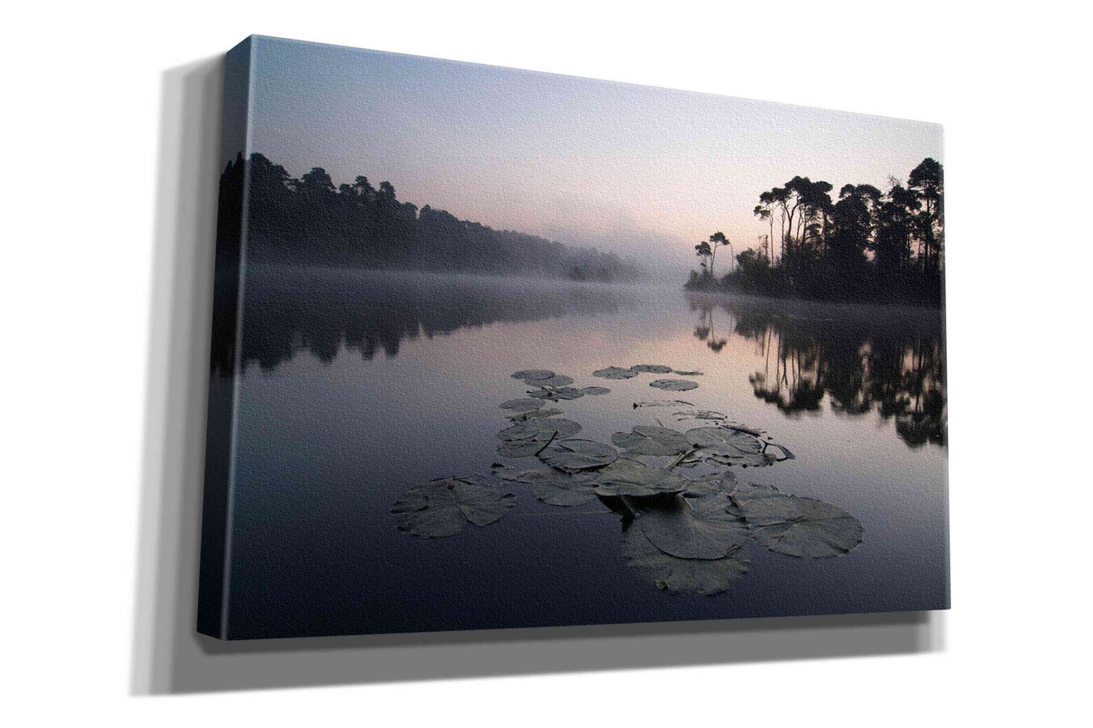 'Oisterwijkse Vennen' by Wilco Dragt, Giclee Canvas Wall Art