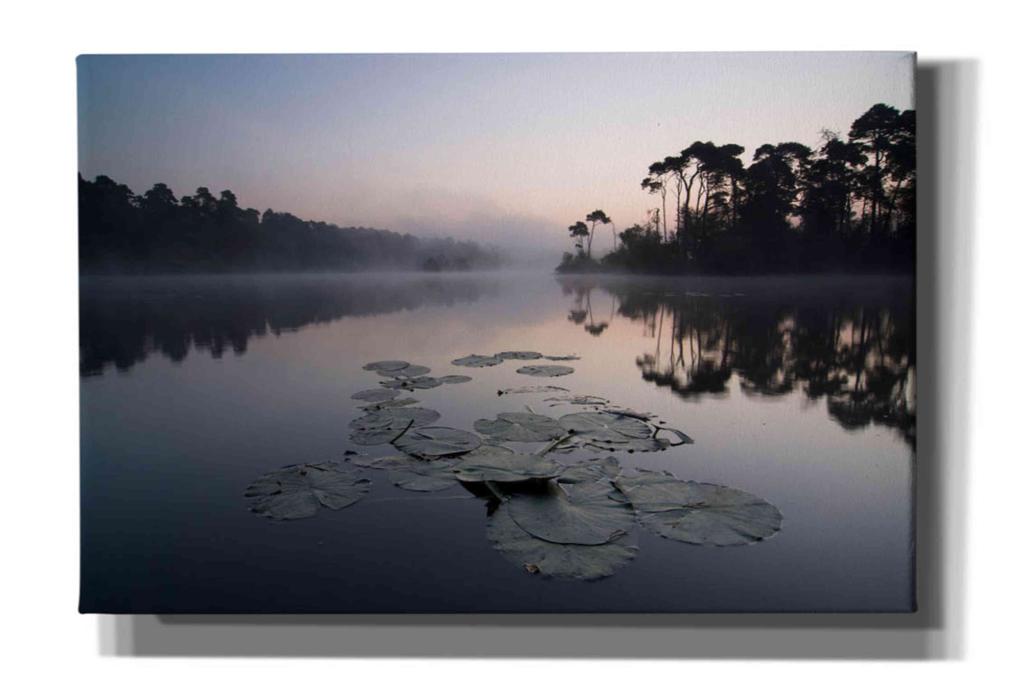 'Oisterwijkse Vennen' by Wilco Dragt, Giclee Canvas Wall Art