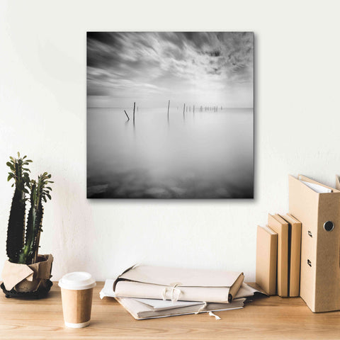 Image of 'Twenty Two Sticks' by Wilco Dragt, Giclee Canvas Wall Art,18 x 18