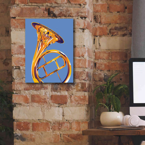 Image of 'French Horn 8' by David Chestnutt, Giclee Canvas Wall Art,12 x 16