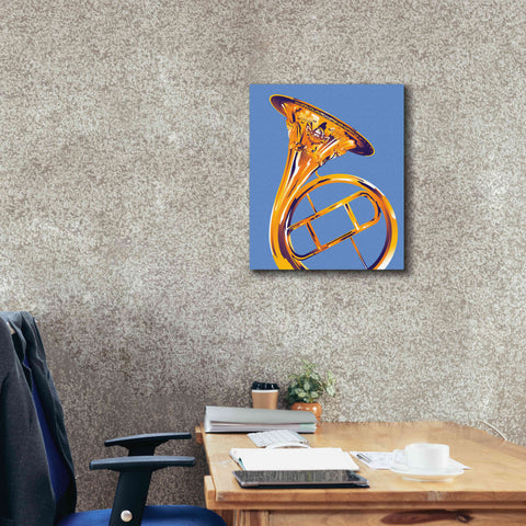 Image of 'French Horn 8' by David Chestnutt, Giclee Canvas Wall Art,20 x 24