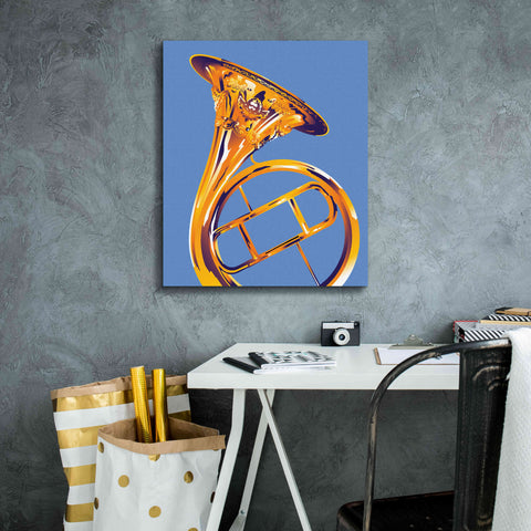 Image of 'French Horn 8' by David Chestnutt, Giclee Canvas Wall Art,20 x 24