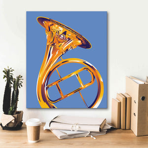 'French Horn 8' by David Chestnutt, Giclee Canvas Wall Art,20 x 24