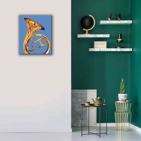 Image of 'French Horn 8' by David Chestnutt, Giclee Canvas Wall Art,20 x 24