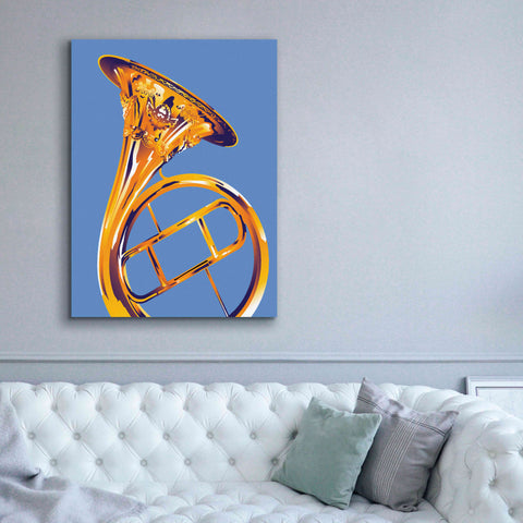 Image of 'French Horn 8' by David Chestnutt, Giclee Canvas Wall Art,40 x 54