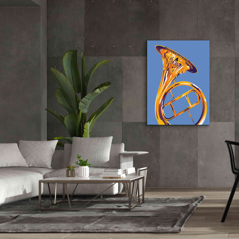 Image of 'French Horn 8' by David Chestnutt, Giclee Canvas Wall Art,40 x 54