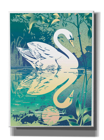 Image of 'Swan' by David Chestnutt, Giclee Canvas Wall Art