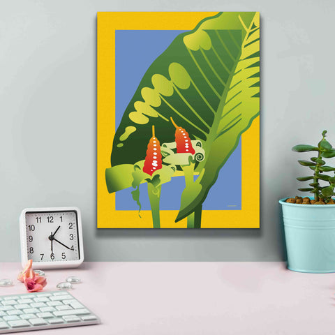 Image of 'Alocasia' by David Chestnutt, Giclee Canvas Wall Art,12 x 16