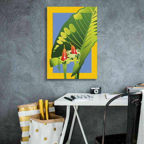 Image of 'Alocasia' by David Chestnutt, Giclee Canvas Wall Art,18 x 26