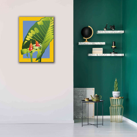 Image of 'Alocasia' by David Chestnutt, Giclee Canvas Wall Art,26 x 34