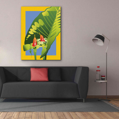 Image of 'Alocasia' by David Chestnutt, Giclee Canvas Wall Art,40 x 54