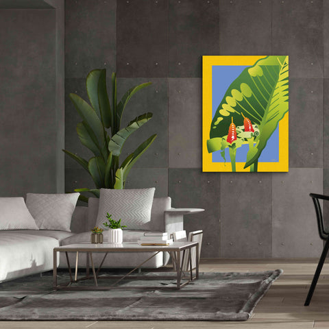 Image of 'Alocasia' by David Chestnutt, Giclee Canvas Wall Art,40 x 54