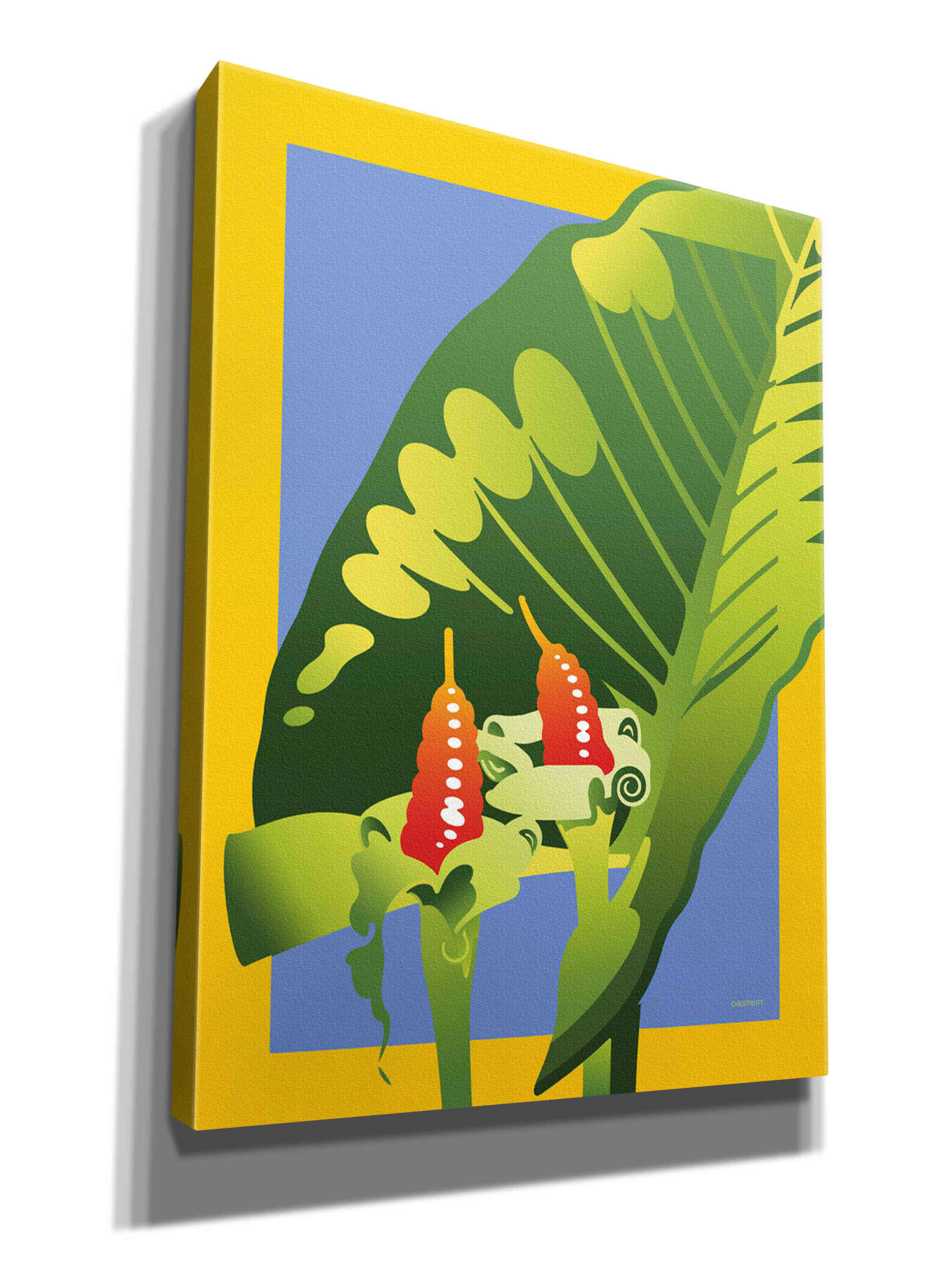 'Alocasia' by David Chestnutt, Giclee Canvas Wall Art