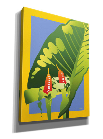 Image of 'Alocasia' by David Chestnutt, Giclee Canvas Wall Art