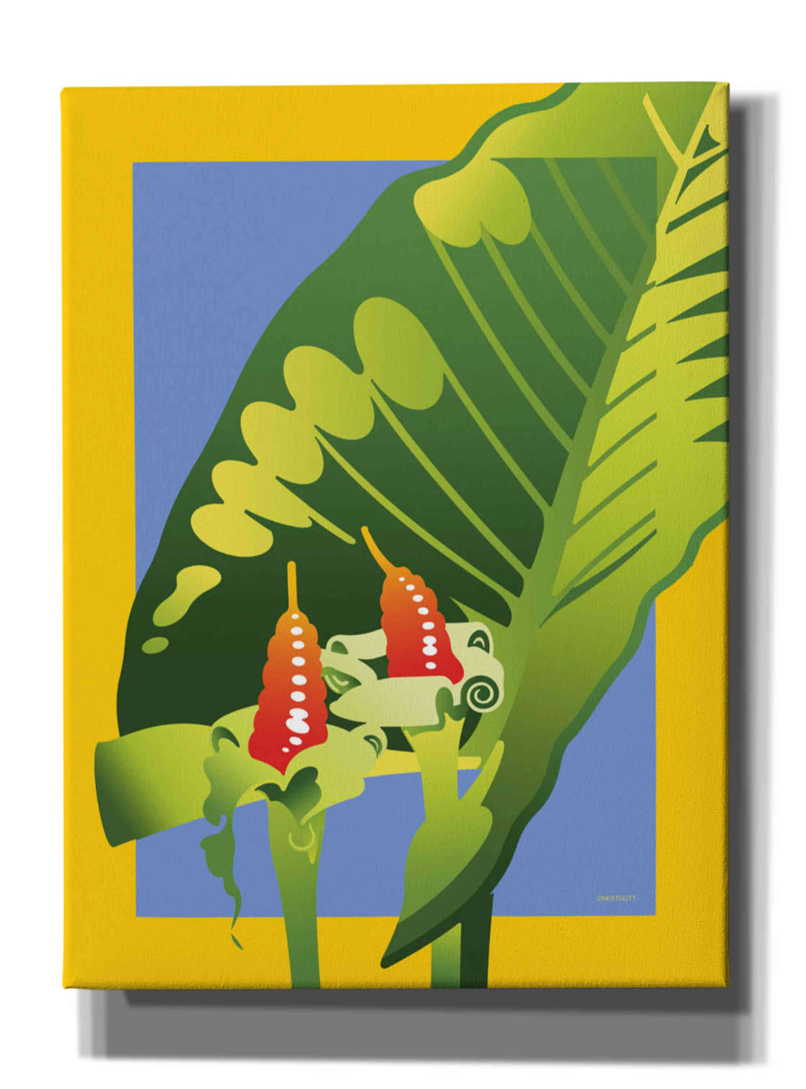 'Alocasia' by David Chestnutt, Giclee Canvas Wall Art