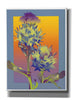 'Blue Thistle' by David Chestnutt, Giclee Canvas Wall Art