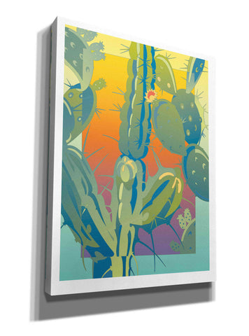 Image of 'Cactus' by David Chestnutt, Giclee Canvas Wall Art