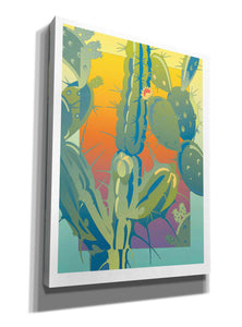 'Cactus' by David Chestnutt, Giclee Canvas Wall Art