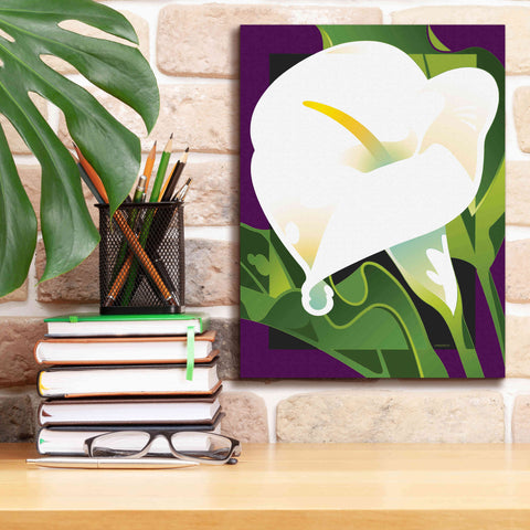Image of 'Calla Lily' by David Chestnutt, Giclee Canvas Wall Art,12 x 16
