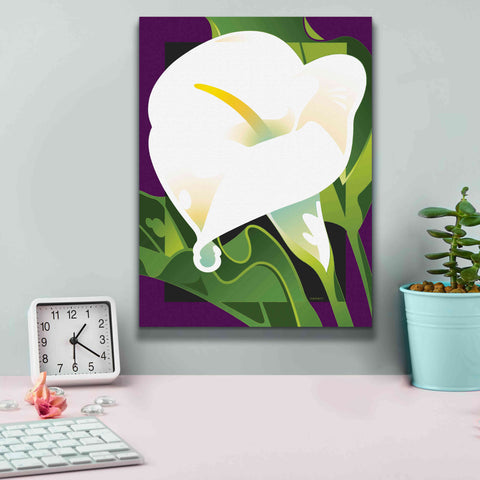 Image of 'Calla Lily' by David Chestnutt, Giclee Canvas Wall Art,12 x 16