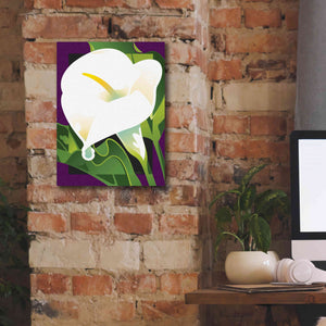 'Calla Lily' by David Chestnutt, Giclee Canvas Wall Art,12 x 16
